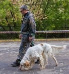 ВЫСТАВКИ - Выставка МГО Динамо 2010